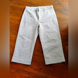 NWT Madewell Slim Emmett Crop Wide Leg Jeans